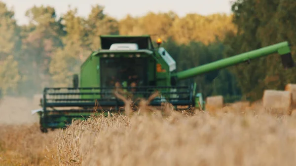 Комбинат харвестер с фермером сидя можно увидеть через пылевое облако - спелые колосья пшеницы — стоковое фото