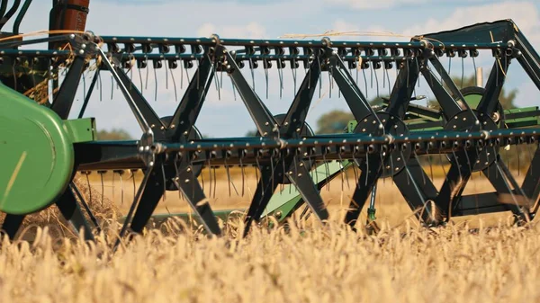 Testa di chicco di grano di una mietitrebbia tagli e trebbie cereali maturi — Foto Stock