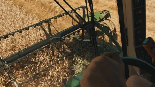Фермер, управляющий комбайном на сельскохозяйственном поле - молотильные молотилки спелых пшениц — стоковое фото