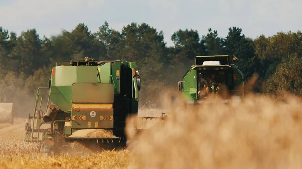 Вид на два современных комбайна на золотом пшеничном поле - Концепция сельского хозяйства — стоковое фото