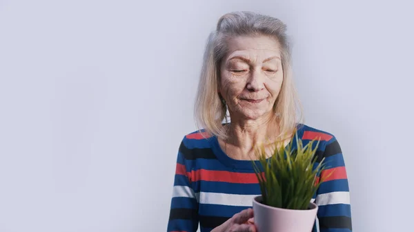 Starsza samotna kobieta trzyma roślinę w domu i podziwia ją — Zdjęcie stockowe