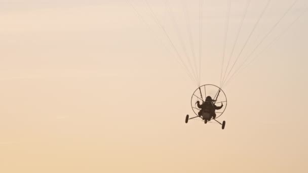 Paramotor triciclo colgado bajo paracaídas volando — Vídeos de Stock