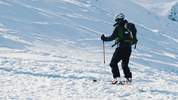 Narciarze trzymający Polaków narciarskich na śnieżnym krajobrazie — Zdjęcie stockowe