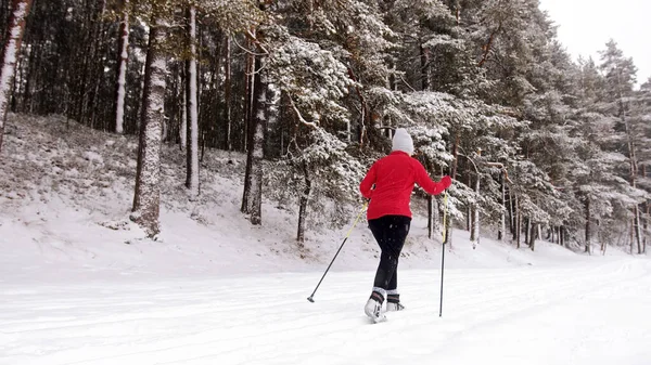 Female relaxing at sport. Woman skiing in winter forest. Hobby cross country skiing in winter landscape concept. — Zdjęcie stockowe