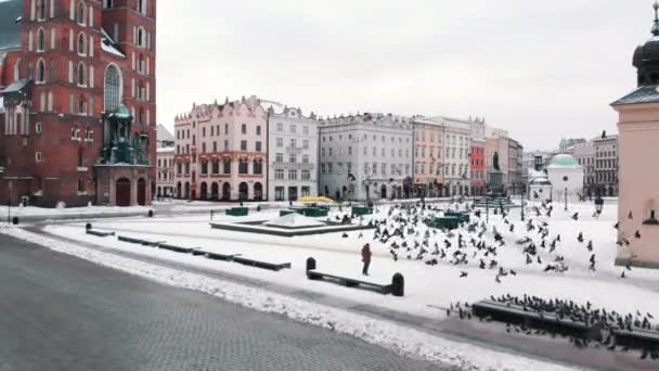 Krakow old town square - Citys gravitational centre - St. Marys Basilica — Αρχείο Βίντεο