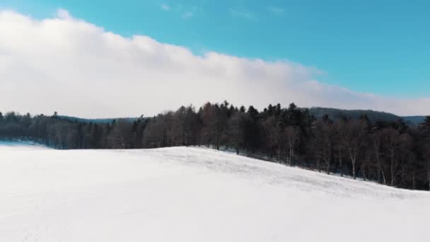 Slow-motion video of Snow-covered sloppy landscape in the city of Krakow, Poland — Wideo stockowe