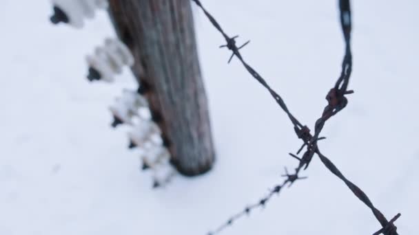 Footage Of Electric Fence with barbed wires in Auschwitz. Nazi Death Camp — стоковое видео