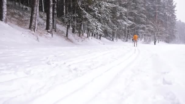 Hochwertiges Filmmaterial aus einem Winterwald. Schneefall tagsüber - Mann zu Fuß — Stockvideo