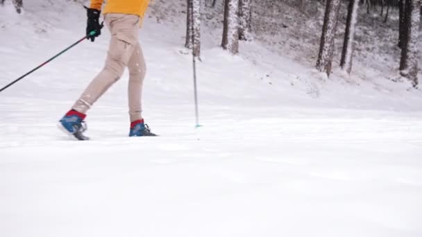 Esquiador masculino esquiando em uma floresta de inverno coberta de neve - Esportes de inverno extremos — Vídeo de Stock