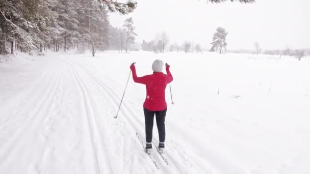 Visão traseira de uma jovem esquiadora segurando pólos de esqui - Paisagem coberta de neve — Vídeo de Stock