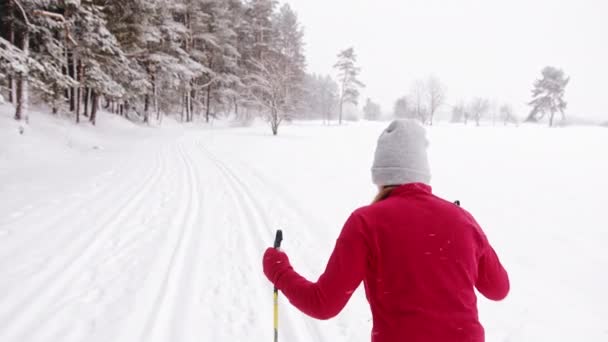 Visão traseira de uma esquiadora vestindo casaco vermelho esquiando em uma paisagem nevada — Vídeo de Stock