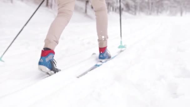 Pohled zezadu na lyžaře, jak pomalu lyžuje v zasněženém zimním lese - sněžení — Stock video