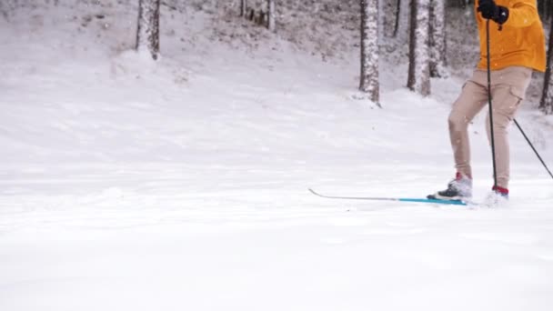 雪に覆われた冬の森の中の男性スキーヤースキー。冬の間の降雪 — ストック動画