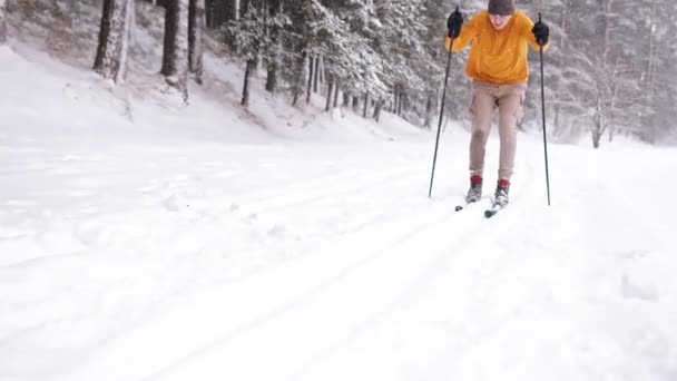 Esqui jovem Esqui em uma floresta de inverno coberto de neve - queda de neve durante a temporada de inverno — Vídeo de Stock