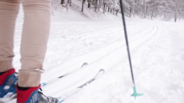 Rückansicht eines Skifahrers in gelber Jacke beim Skifahren in einem verschneiten Winterwald — Stockvideo
