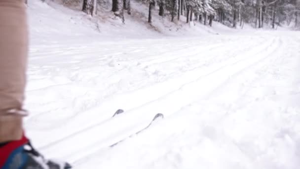 Um jovem esquiador esquiando lentamente em uma floresta de inverno coberta de neve. Esculpindo o caminho — Vídeo de Stock