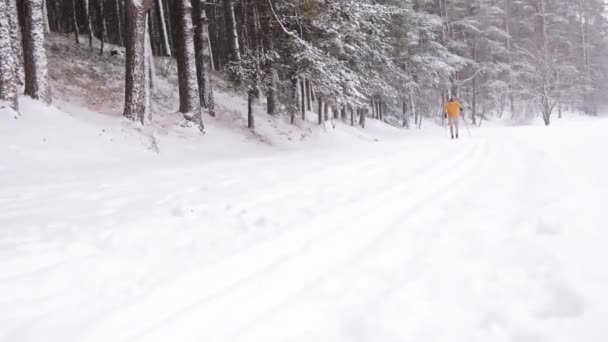 Esquiador masculino esquiando lentamente em uma floresta de inverno coberta de neve - Esportes de Inverno — Vídeo de Stock