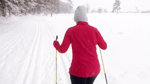 Detailní záběr Zadní pohled na lyžařku v červené bundě na lyžích během sněžení — Stock video