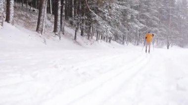 Erkek kayakçı, karla kaplı bir kış ormanında yavaşça kayak yapıyor. Şiddetli kar yağışıweather condition 
