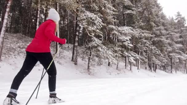 Esquiador feminino esquiando lentamente em uma floresta de inverno coberta de neve - queda de neve - Visão traseira — Vídeo de Stock