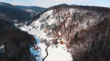 Ojcowski Parkı 'nın Narodowy Vadisi, yemyeşil ağaçlı kireçtaşı kayalar.