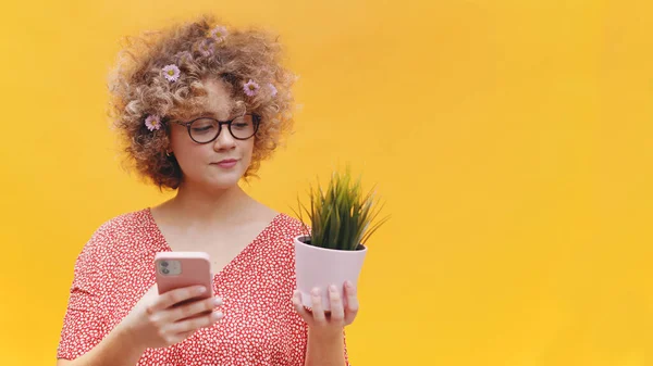 Menina segurando uma pequena planta de vaso em uma mão e telefone celular na outra mão — Fotografia de Stock