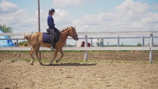 Jockey femenino con casco montado en un caballo Palomino en la arena — Vídeo de stock