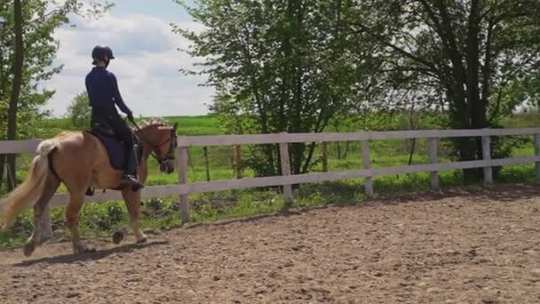 Jockeyspielerin mit Helm reitet auf einem Pearl Horse, das sich im Sandy Parkour bewegt — Stockvideo