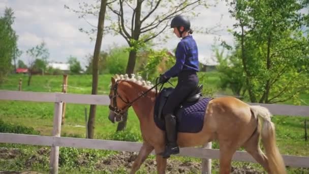 Jockeyspielerin mit Helm reitet auf einem schönen Perlpferd in der Sandy Arena — Stockvideo