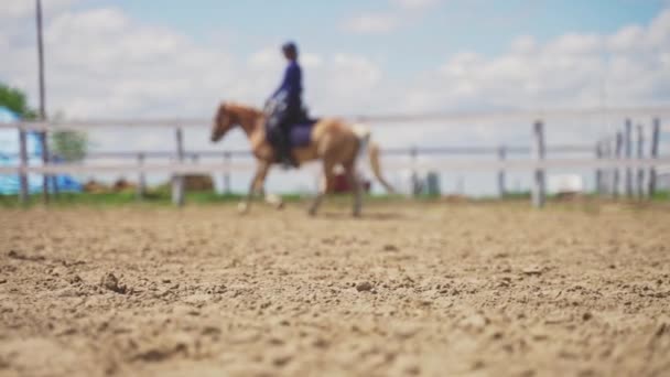 Vrouwelijke jockey op een Champagne Paardrijden in de Sandy Arena - Paardrijden — Stockvideo