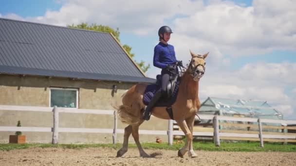 Γυναίκα Jockey φορώντας κράνος ασφαλείας ιππασία σε ένα όμορφο άλογο Palomino — Αρχείο Βίντεο