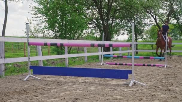 Vrouwelijke jockey op een paard rennen en springen over hekken paardensport evenementen — Stockvideo