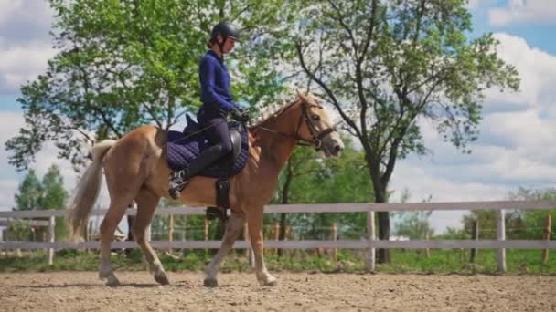 Feminino Jockey equitação em um belo cavalo dourado na arena arenosa — Vídeo de Stock