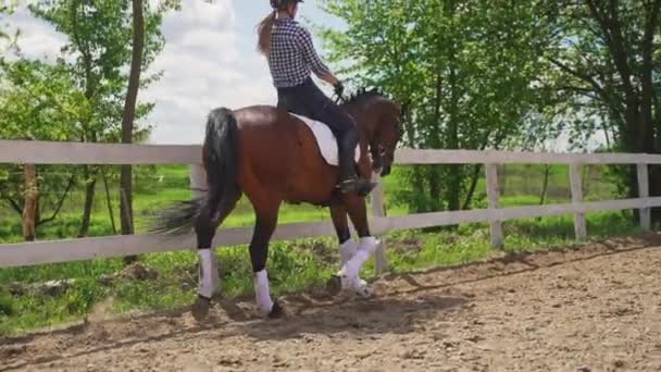 Дівчинка їде верхи на конях затоки - кінь біжить по дерев "яному палю — стокове відео