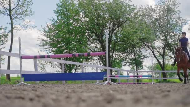 Konkurencyjna jazda dżokejem na koniu w Sandy Parkour z drewnianym płotem — Wideo stockowe