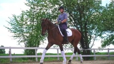 Kol kemeri takan kız at sırtında Tahta çit boyunca koşan at