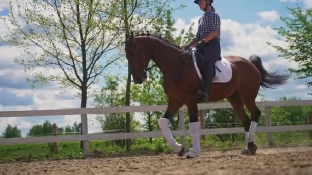 Femmina fantino equitazione su suo buio baia cavallo in il sabbia arena durante il giorno — Video Stock