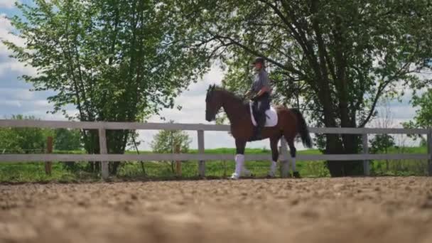 Femme Jockey sur le dos de Bay Horse Riding lentement le long de la clôture en bois — Video