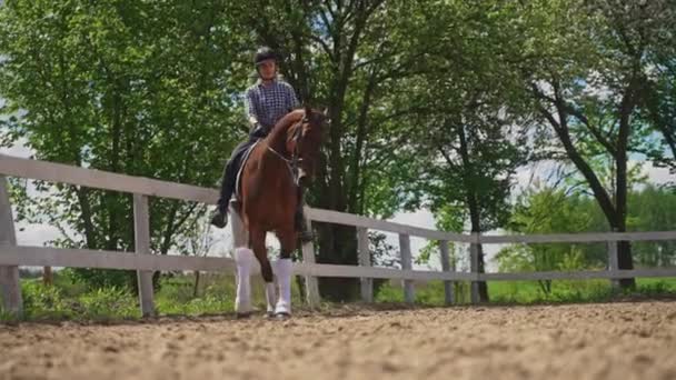 Jockey em um cavalo escuro da baía montando ao longo da cerca de madeira na arena arenosa — Vídeo de Stock