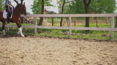 Sırtında bir biniciyle ahşap çit boyunca koşan Bay Horse