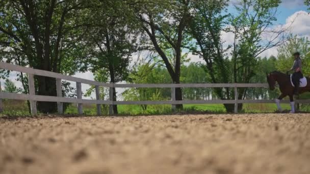 Jockey femenino Un caballo de la bahía que monta a lo largo de la cerca de madera en la arena Arena — Vídeos de Stock