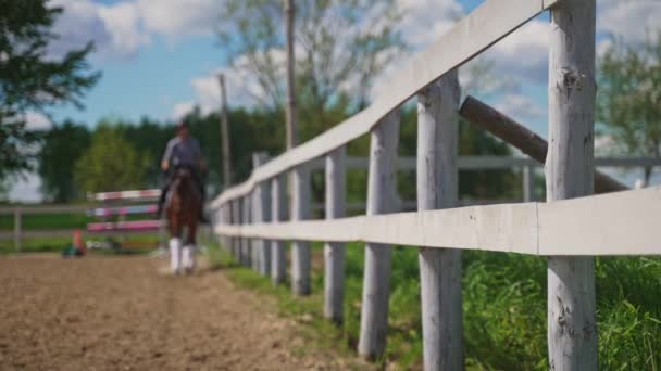 Suddig vision av flicka ridning på baksidan av hennes häst rör sig mot kameran — Stockvideo