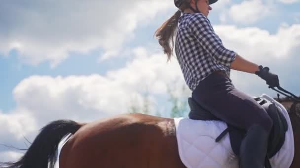 Jockey montando en su oscuro caballo de la bahía en el caballo de Sandy Parkour usando medias — Vídeos de Stock