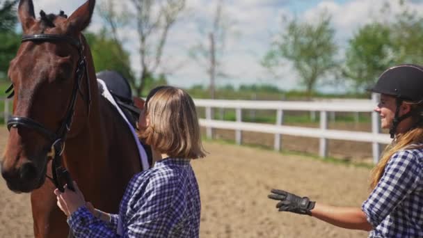 Dwie młode dziewczyny stojące blisko ciemnobrązowego konia - głaskanie ogiera — Wideo stockowe