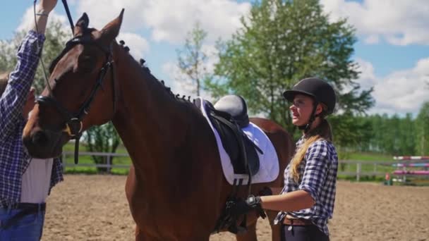 Két lány áll egy barna ló mellett, amint nyergelik fel a csődört a versenyre. — Stock videók