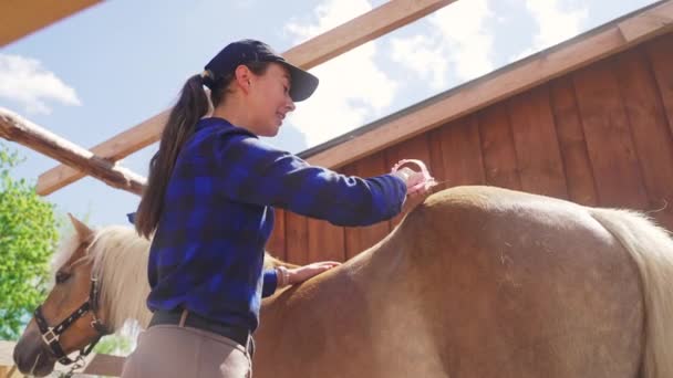 Joven chica cepillando el polvo de su hermoso caballo marrón con melena rubia — Vídeos de Stock