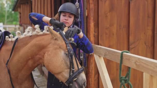 Kobieta siodła konia Naprawianie jego headstall Przygotowania do zawodów — Wideo stockowe