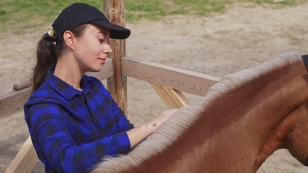 Vaktmästare Borsta sin häst Blond Mane - Grooming Her Horse - Horse Love — Stockvideo
