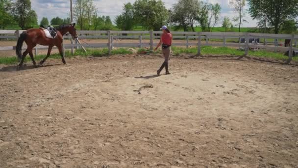 Mujer Jockey Lunge Entrenamiento de un caballo sosteniendo su cuerda principal en el Sandy Parkour — Vídeos de Stock