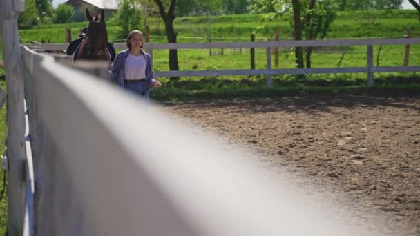 Girl Walking With Her Brown Horse In The Sandy parkour Holding Its Lead Rope — Stock Video